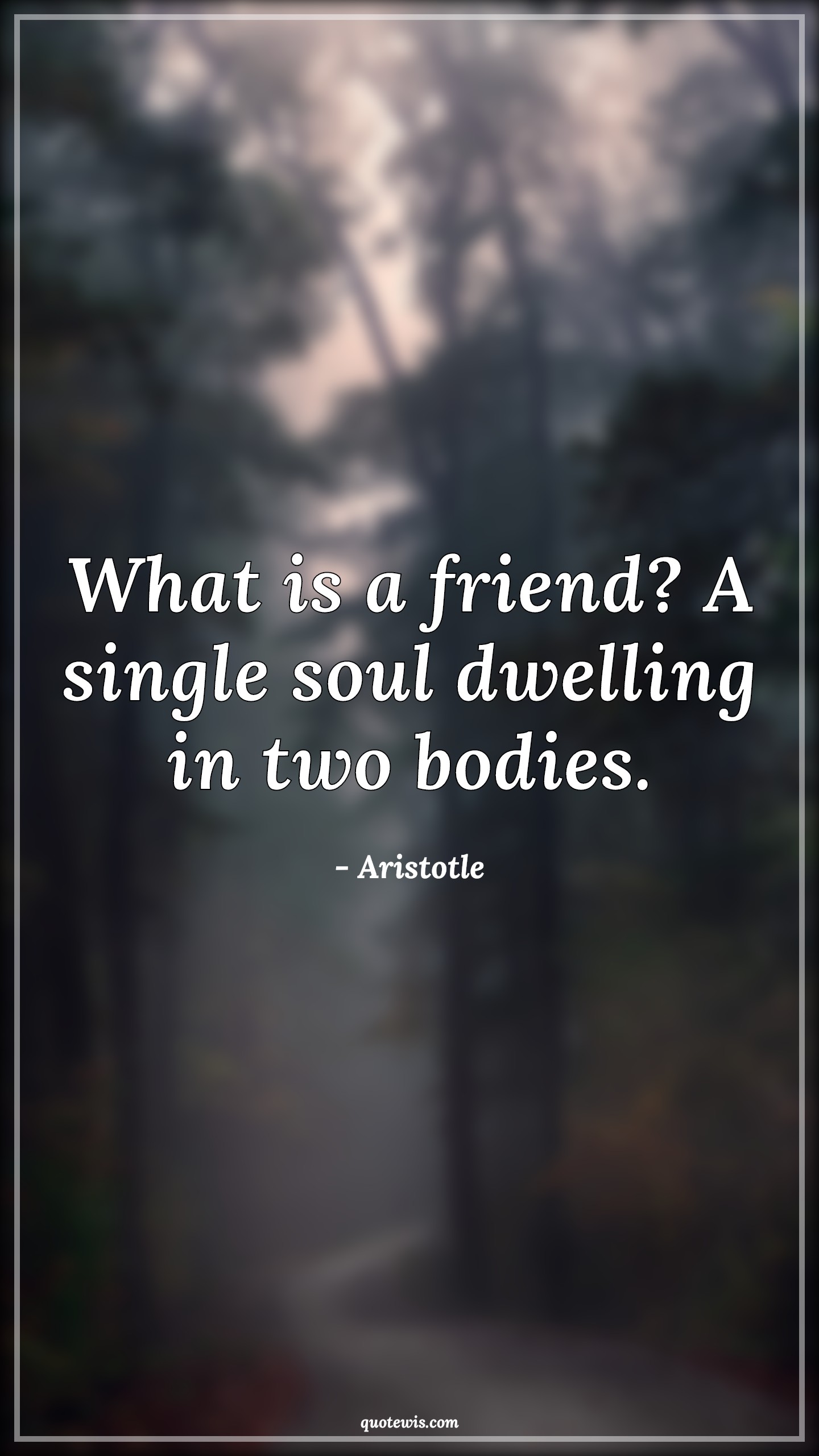 What is a friend? A single soul dwelling in two bodies. - Aristotle Quotes |  Friendship Quotes, Soul Quotes,