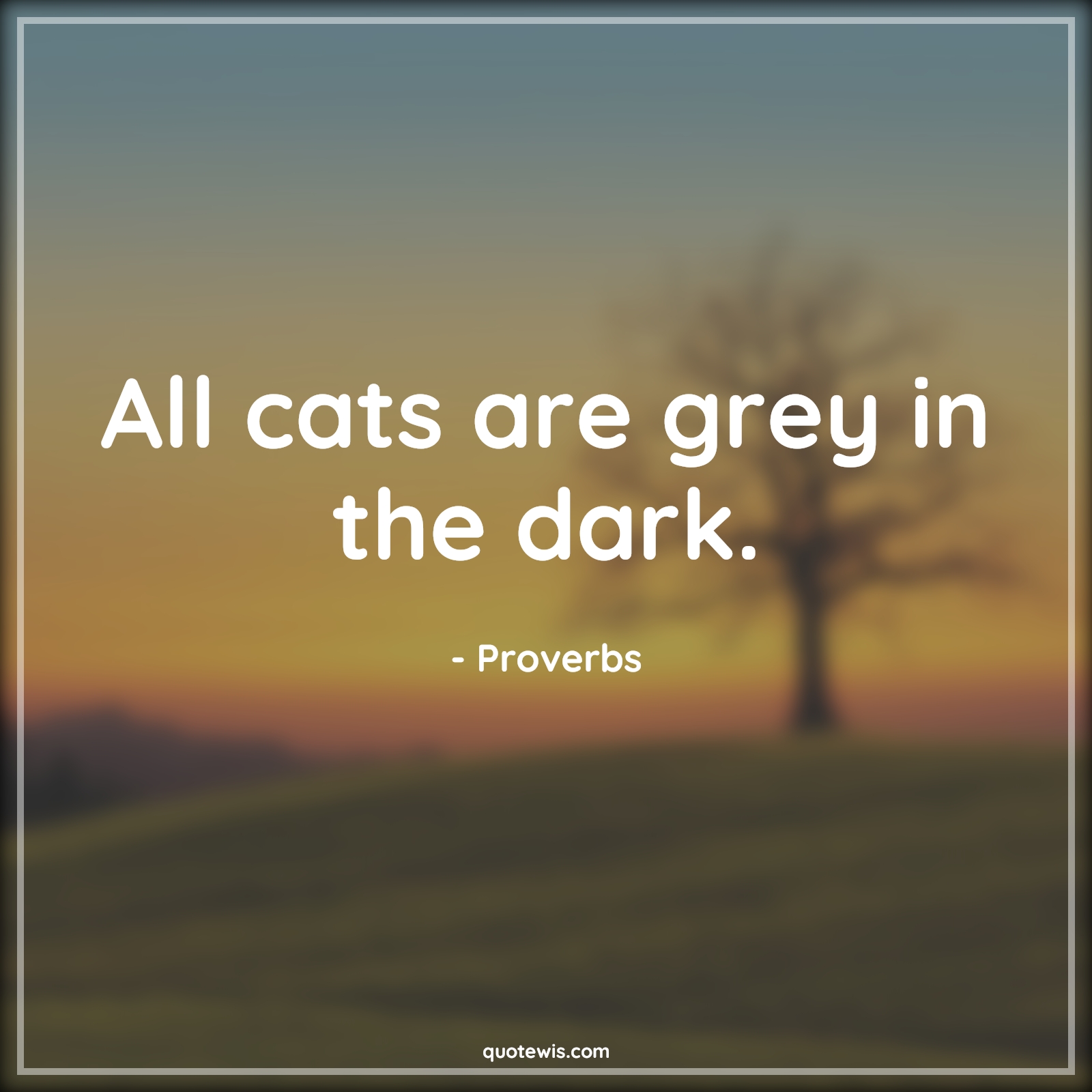 All cats are grey in the dark. - Proverbs Quotes | 