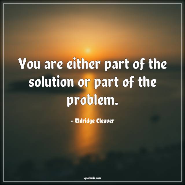 You are either part of the solution or part of the problem.
