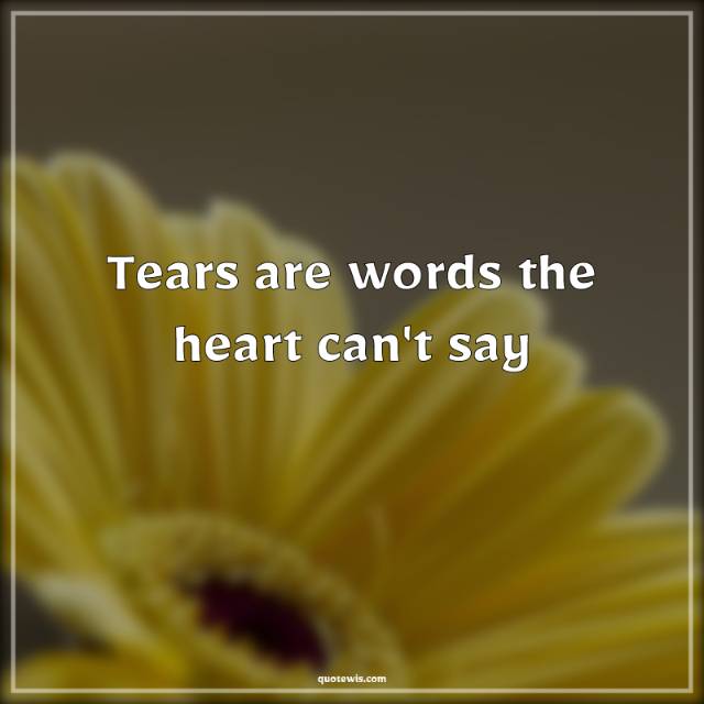Tears are words the heart can't say