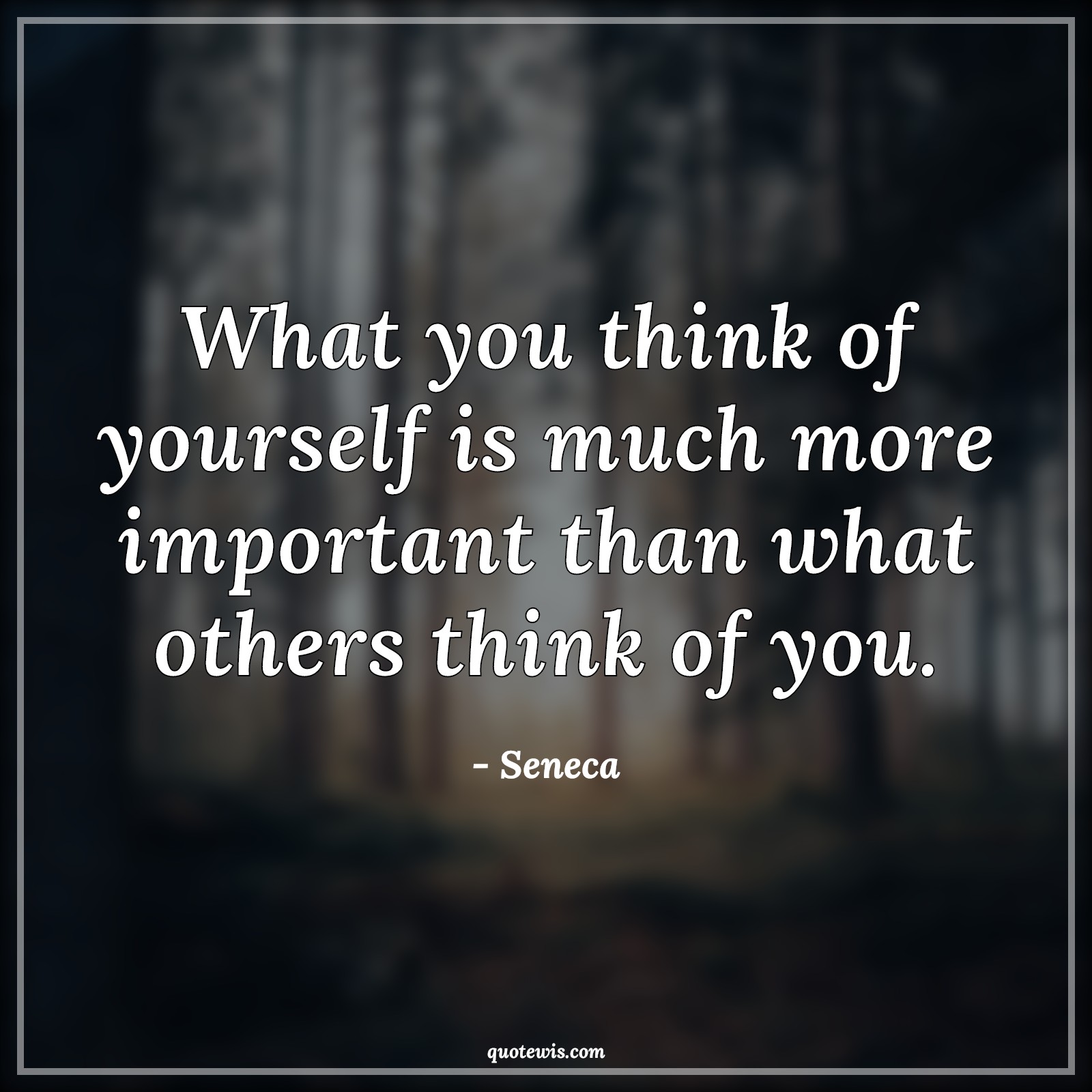 What you think of yourself is much more important than what others think of you. - Seneca Quotes | 