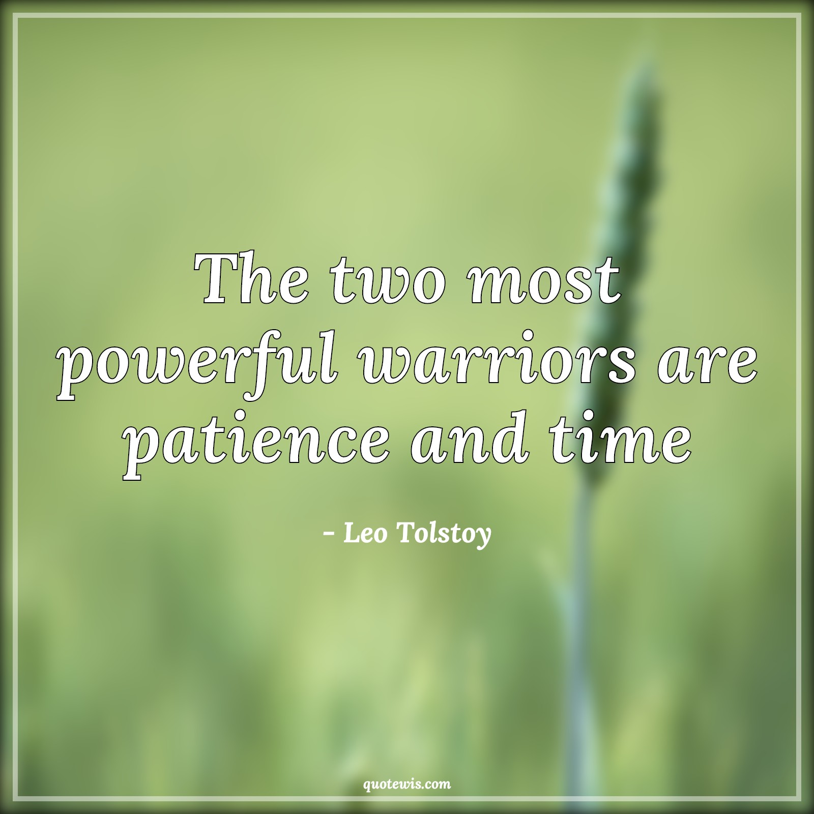The two most powerful warriors are patience and time - Leo Tolstoy Quotes |  Patience Quotes, Time Quotes, Warrior Quotes, Powerful Quotes, Short Quotes, Short time Quotes,