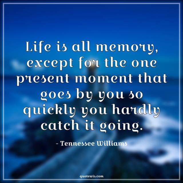 Life is all memory, except for the one present moment that goes by you so quickly you hardly catch it going.