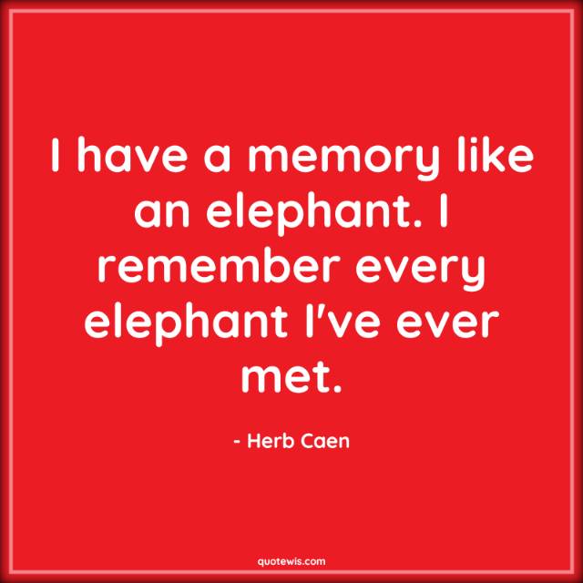 I have a memory like an elephant. I remember every elephant I've ever met.