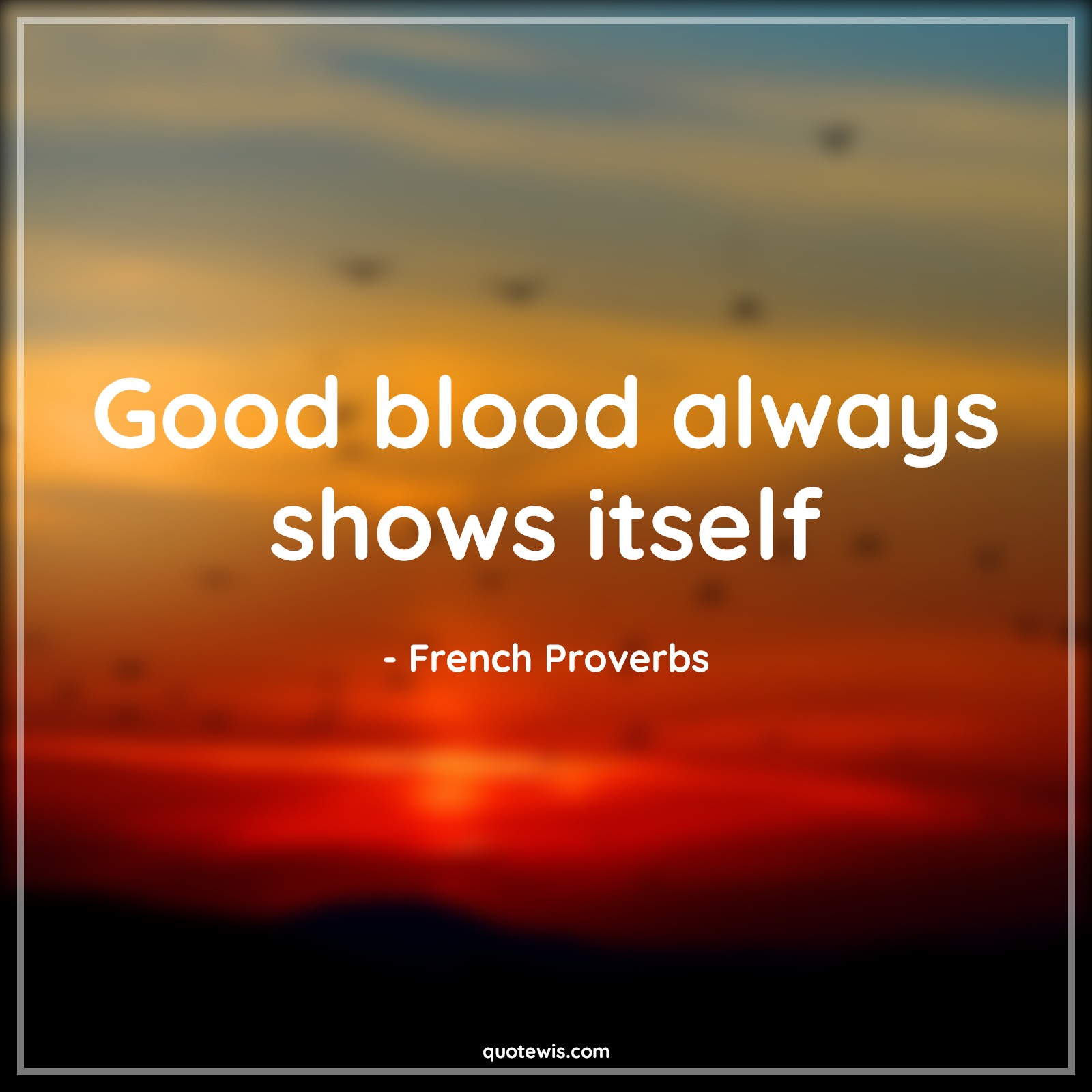 Good blood always shows itself - French Proverbs Quotes | 