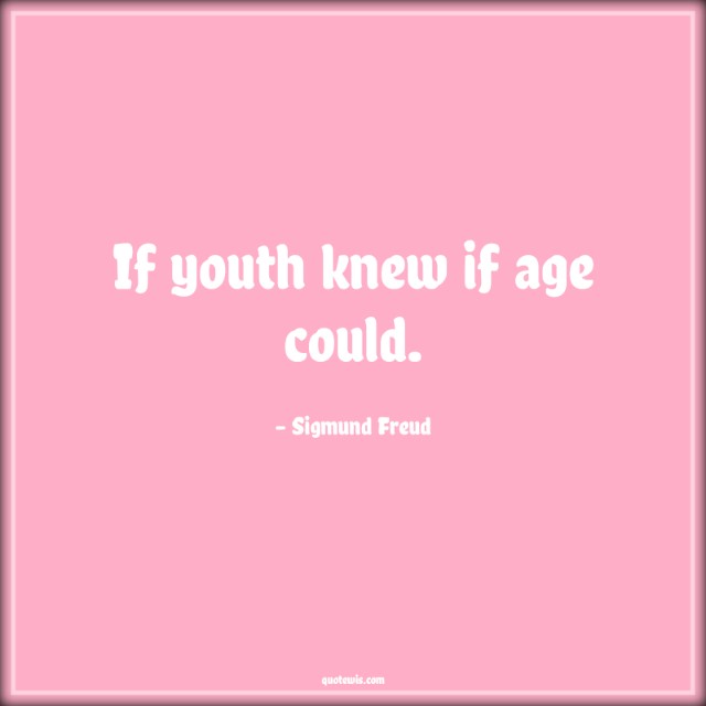 If youth knew if age could.
