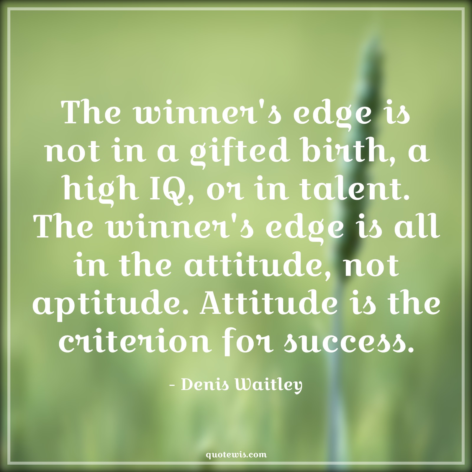 The winner's edge is not in a gifted birth, a high IQ, or in talent. The winner's edge is all in the attitude, not aptitude. Attitude is the criterion for success. - Denis Waitley Quotes |  Attitude Quotes,