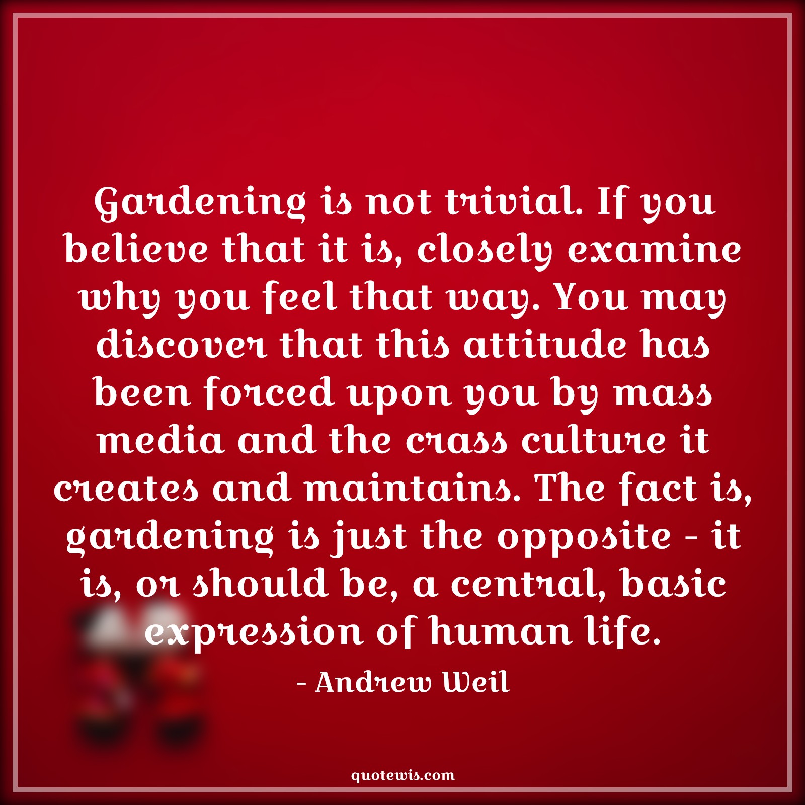 Gardening is not trivial. If you believe that it is, closely examine why you feel that way. You may discover that this attitude has been forced upon you by mass media and the crass culture it creates and maintains. The fact is, gardening is just the opposite - it is, or should be, a central, basic expression of human life. - Andrew Weil Quotes |  Attitude Quotes,