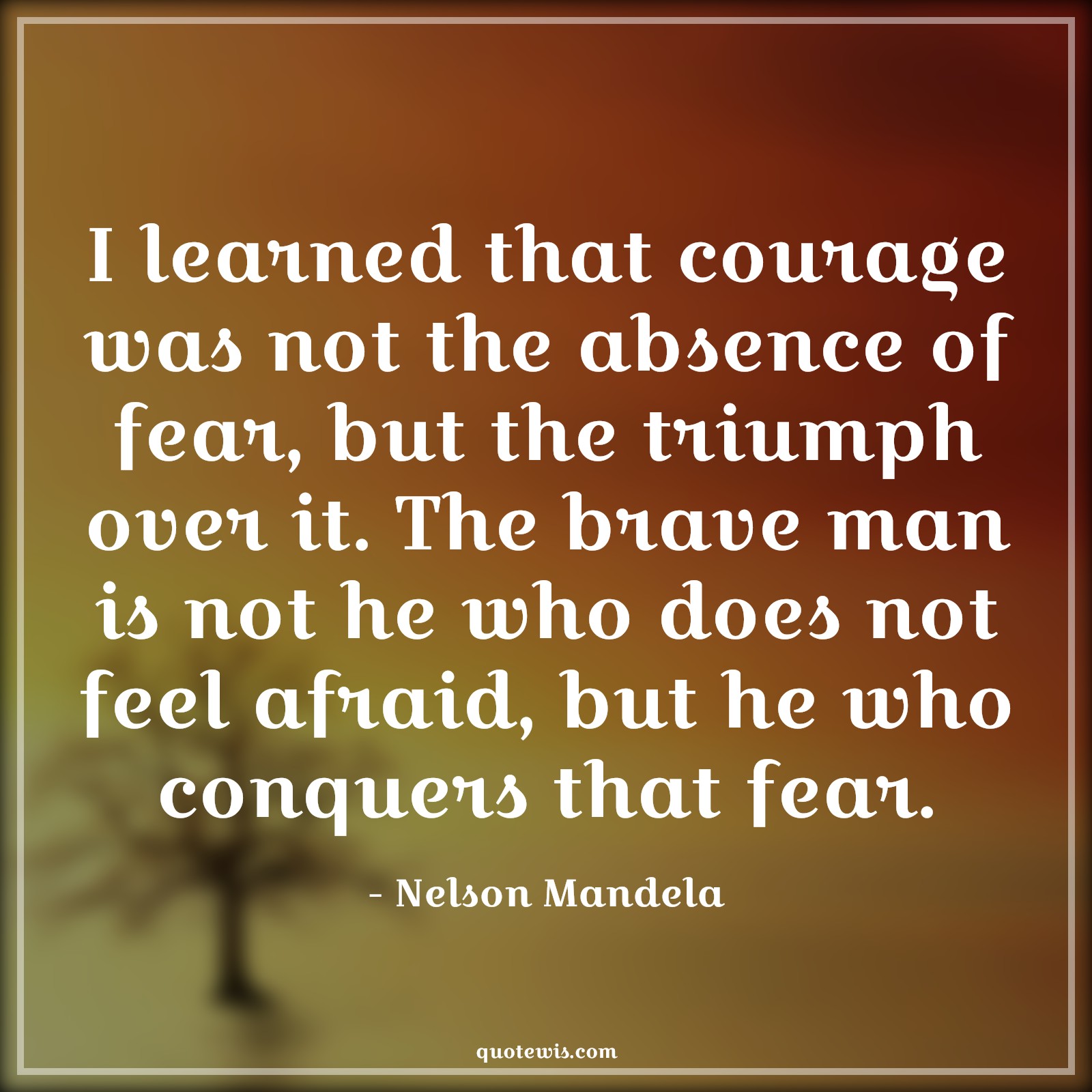 I learned that courage was not the absence of fear, but the triumph over it. The brave man is not he who does not feel afraid, but he who conquers that fear. - Nelson Mandela Quotes |  Courage Quotes,