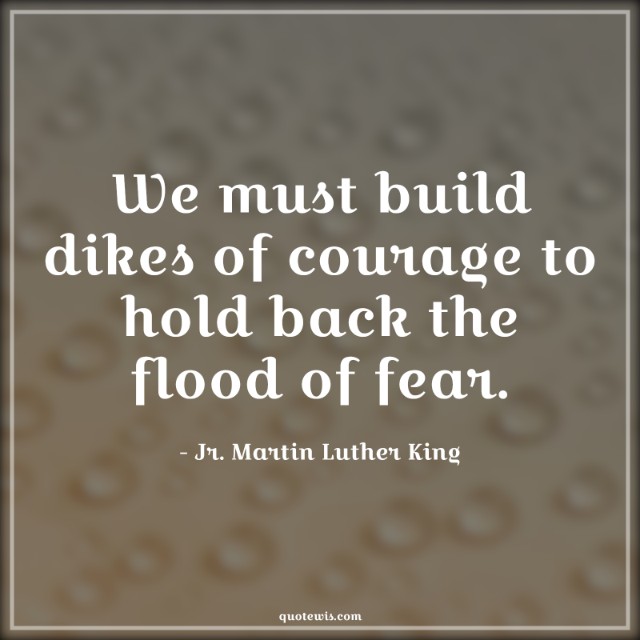 We must build dikes of courage to hold back the flood of fear.