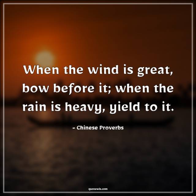 When the wind is great, bow before it; when the rain is heavy, yield to it.