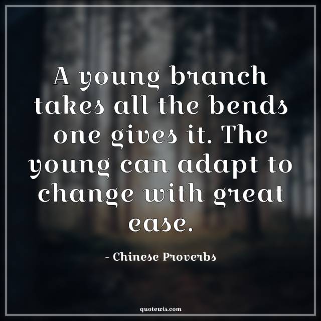 A young branch takes all the bends one gives it. The young can adapt to change with great ease.