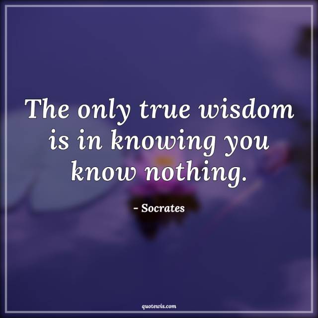 The only true wisdom is in knowing you know nothing.