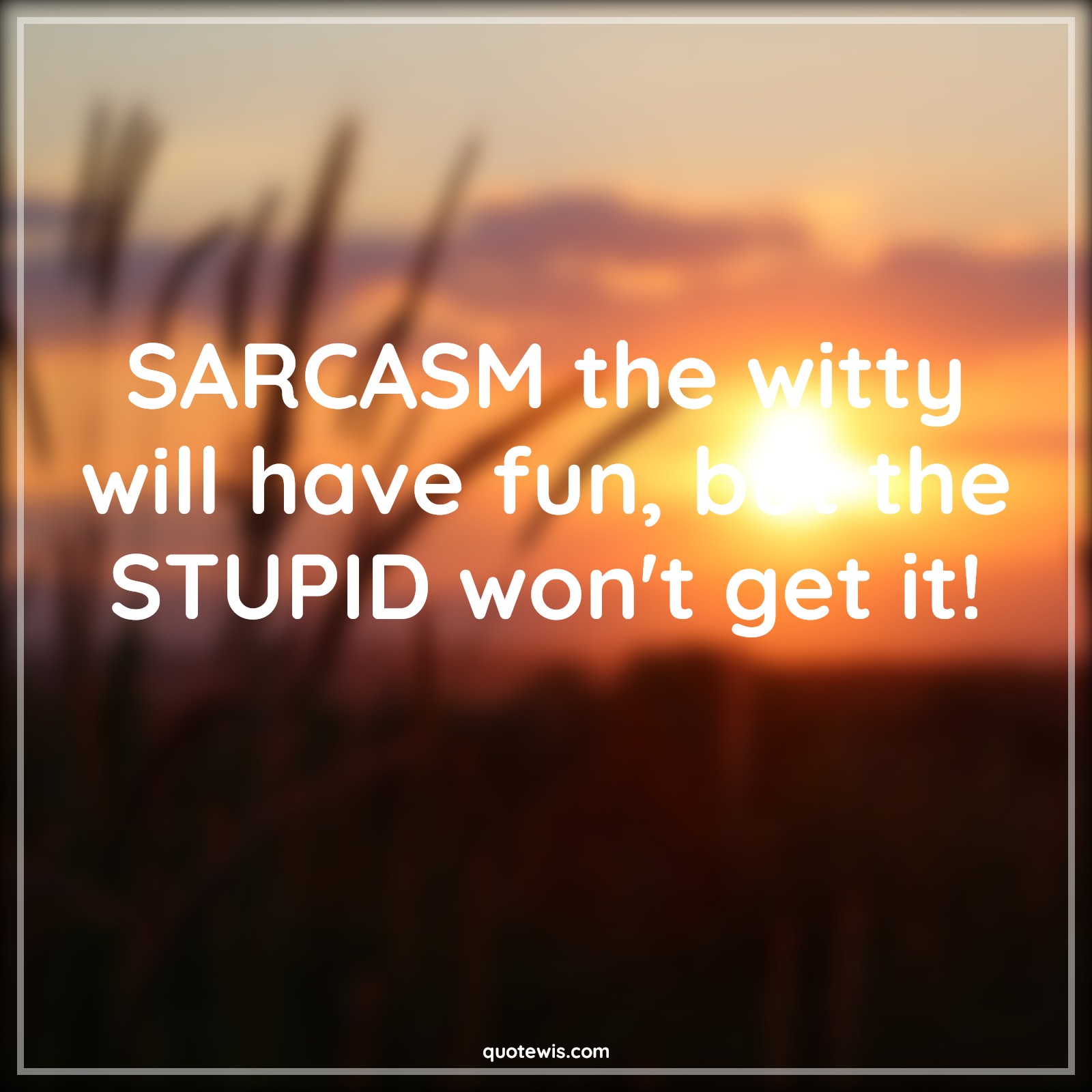 SARCASM the witty will have fun, but the STUPID won't get it! - Anonymous Quotes |  Sarcastic Quotes, Stupidity Quotes, Sarcastic stupidity Quotes,